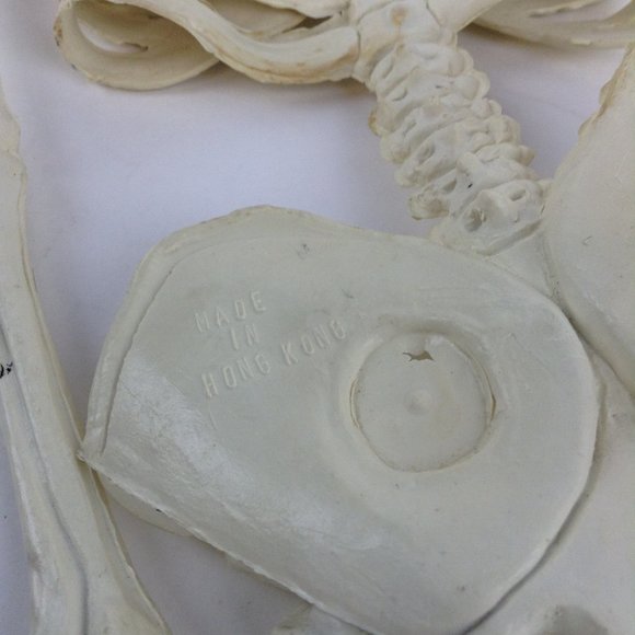 Vintage Halloween Hanging Skeleton 23" - Picture 7 of 13